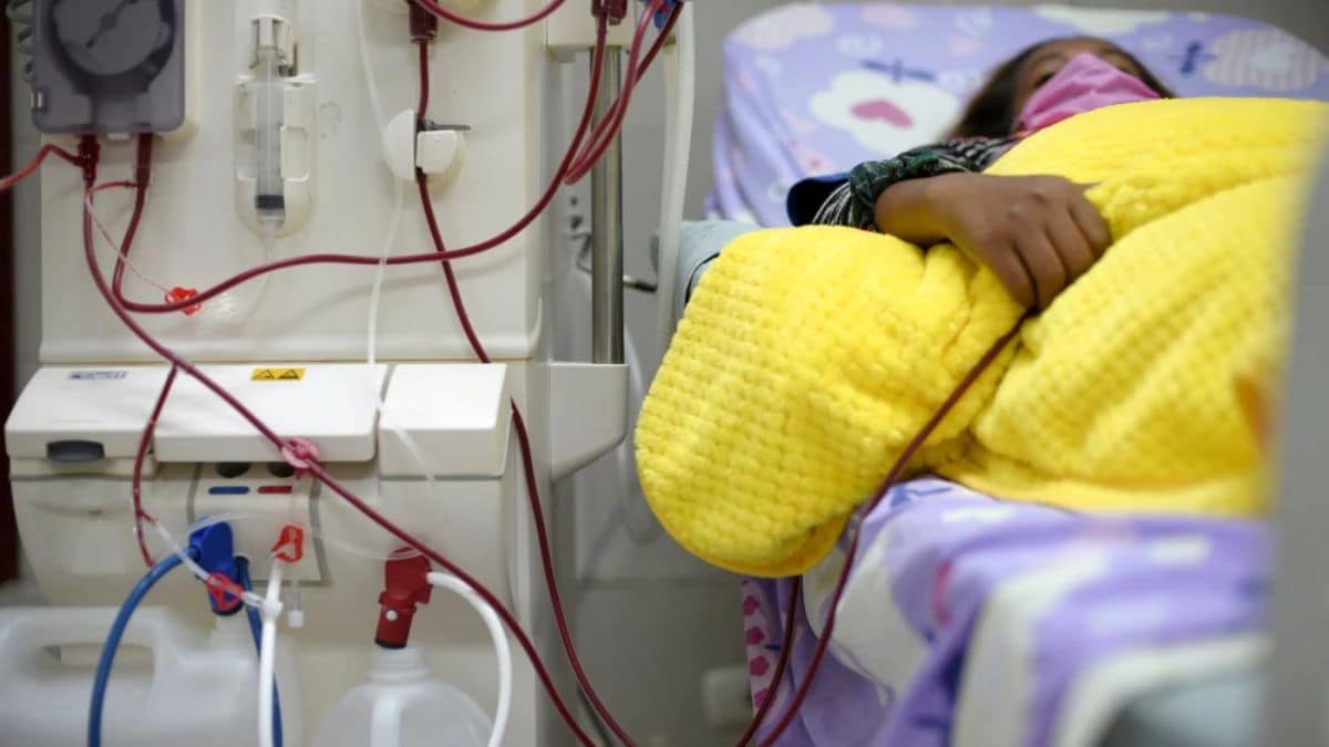 전문가들은 인도의 신장 질환 상승에 대해 경고하고 위기에 대처하기 위해 조기 심사를 촉구합니다.